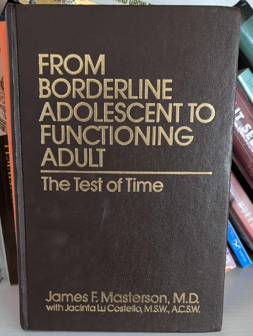 From Borderline Adolescent to Functioning Adult — Brown Hardcover